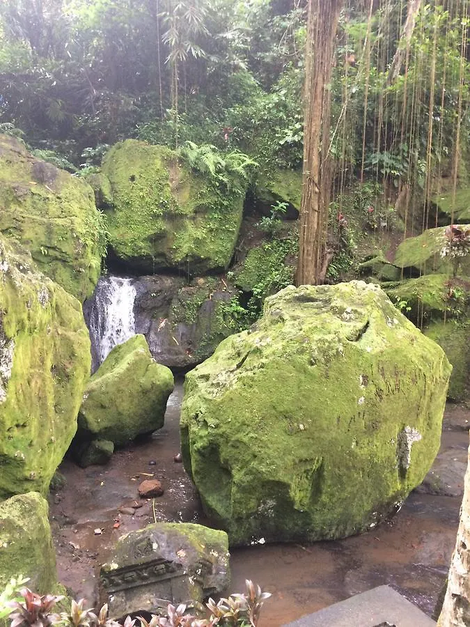 Rw Downtown Hostel Ubud 0*, Ubud (Bali) Indonesia