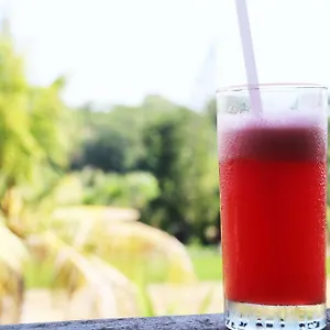 Nuriani Ubud (Bali)