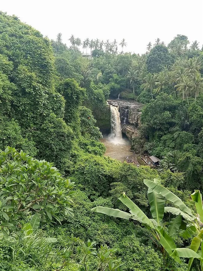 Rw Downtown Hostel Ubud  Ubud (Bali)